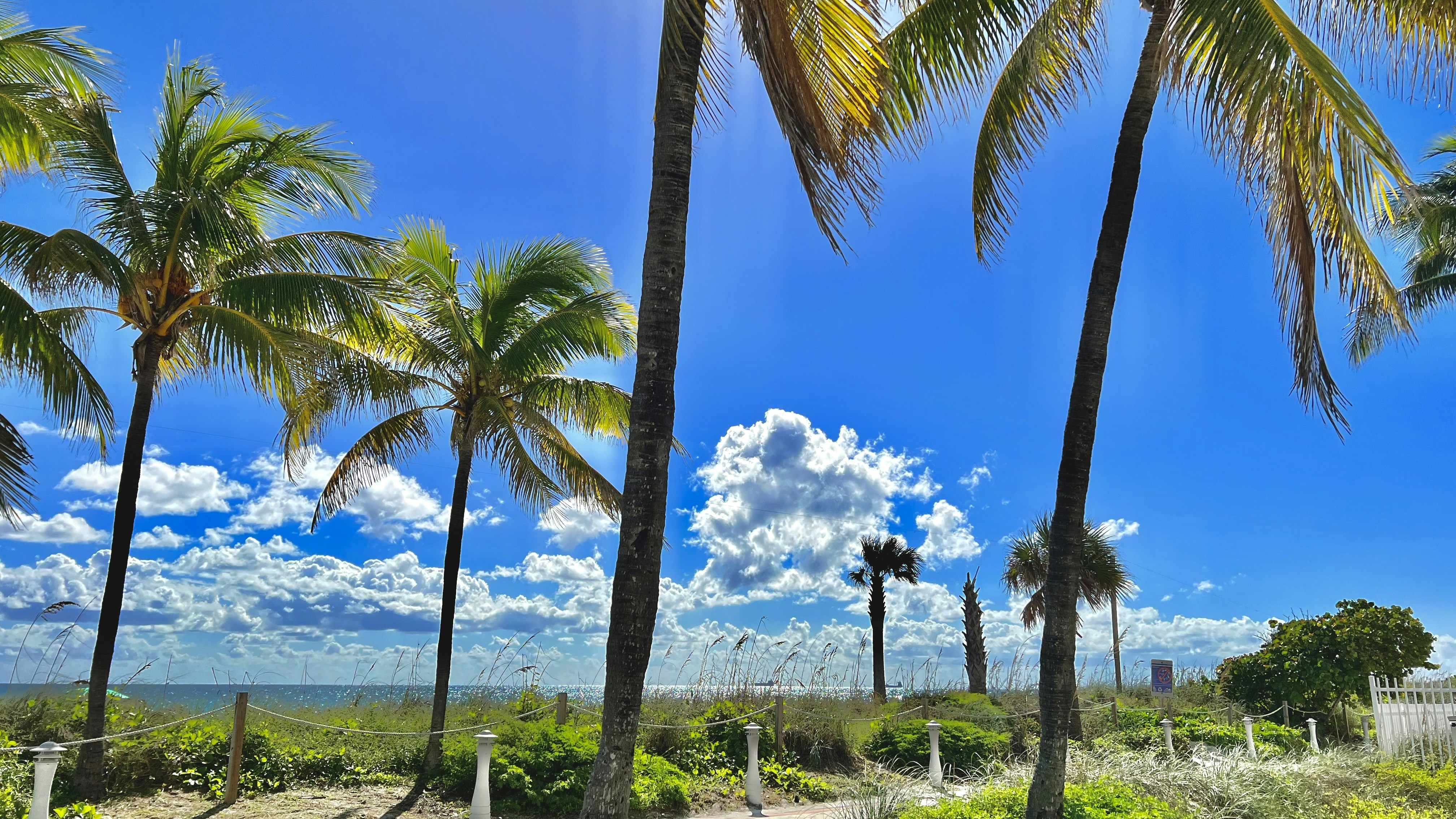 Photo by juanmascan1978