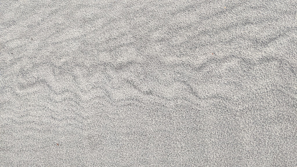 Coarse Building Sand