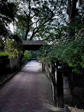 A peaceful pathway through lush greenery within the Los Nogales Club Boutique grounds.