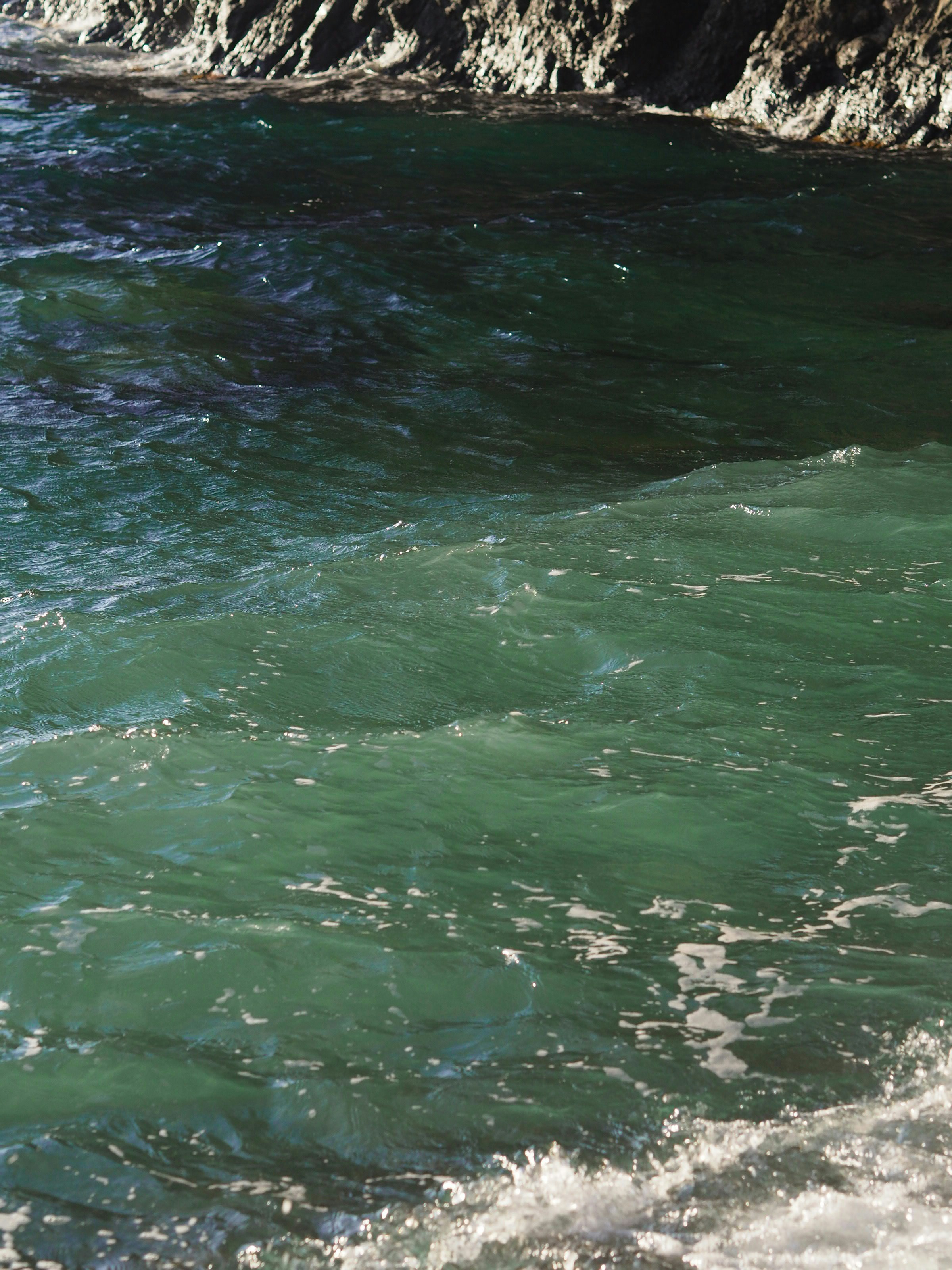 Photo by dari_tomulis