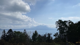 A serene nature scene symbolizing calm and strength after a storm.