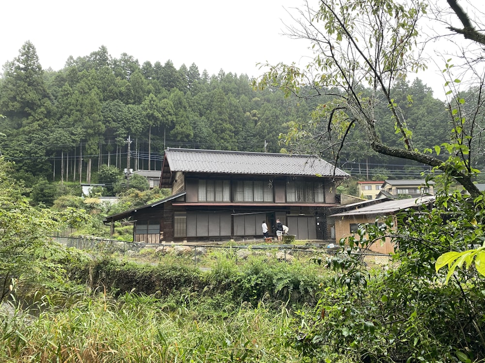 a building in the middle of a lush green forest