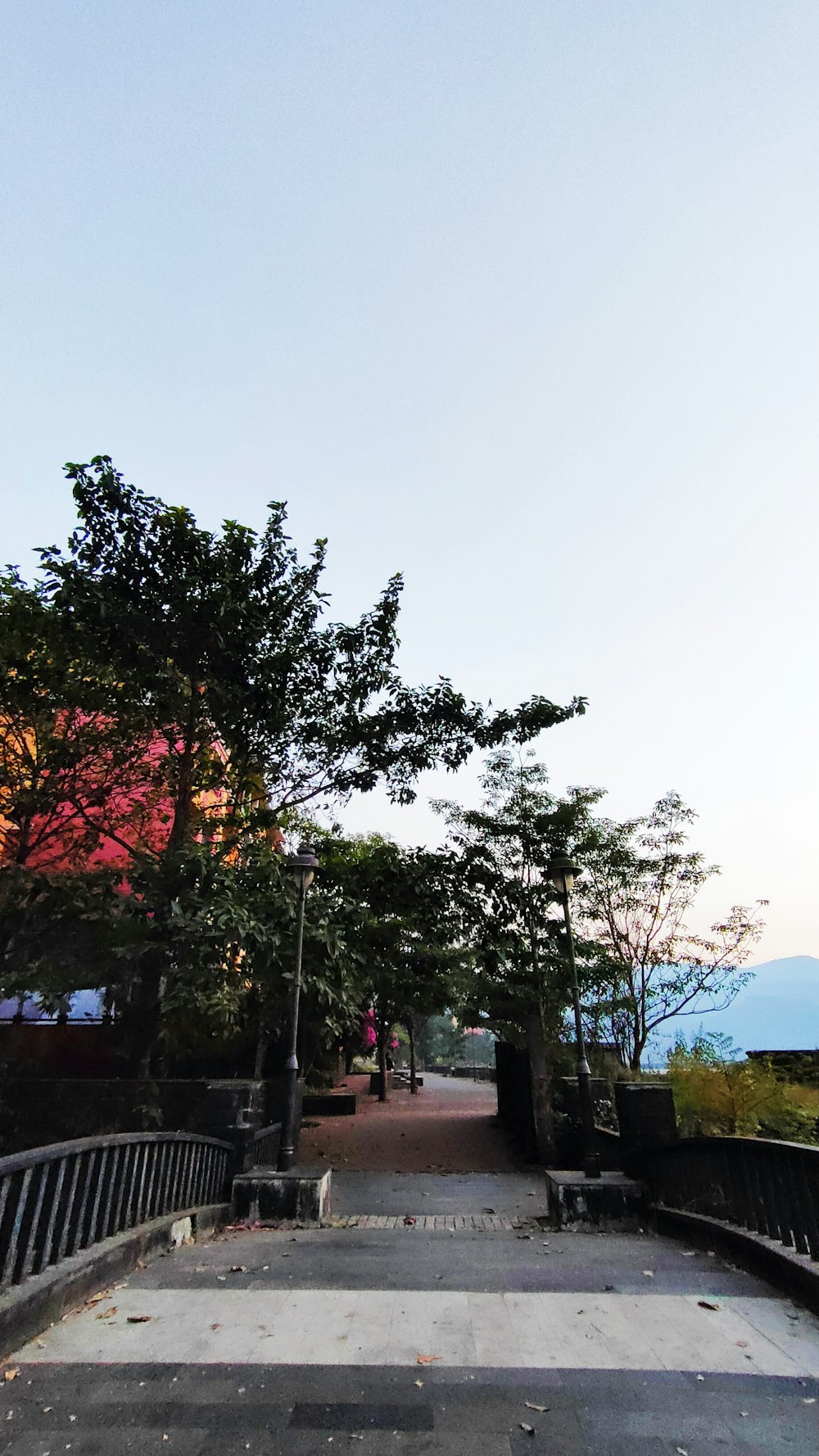 a park with benches and trees in the background