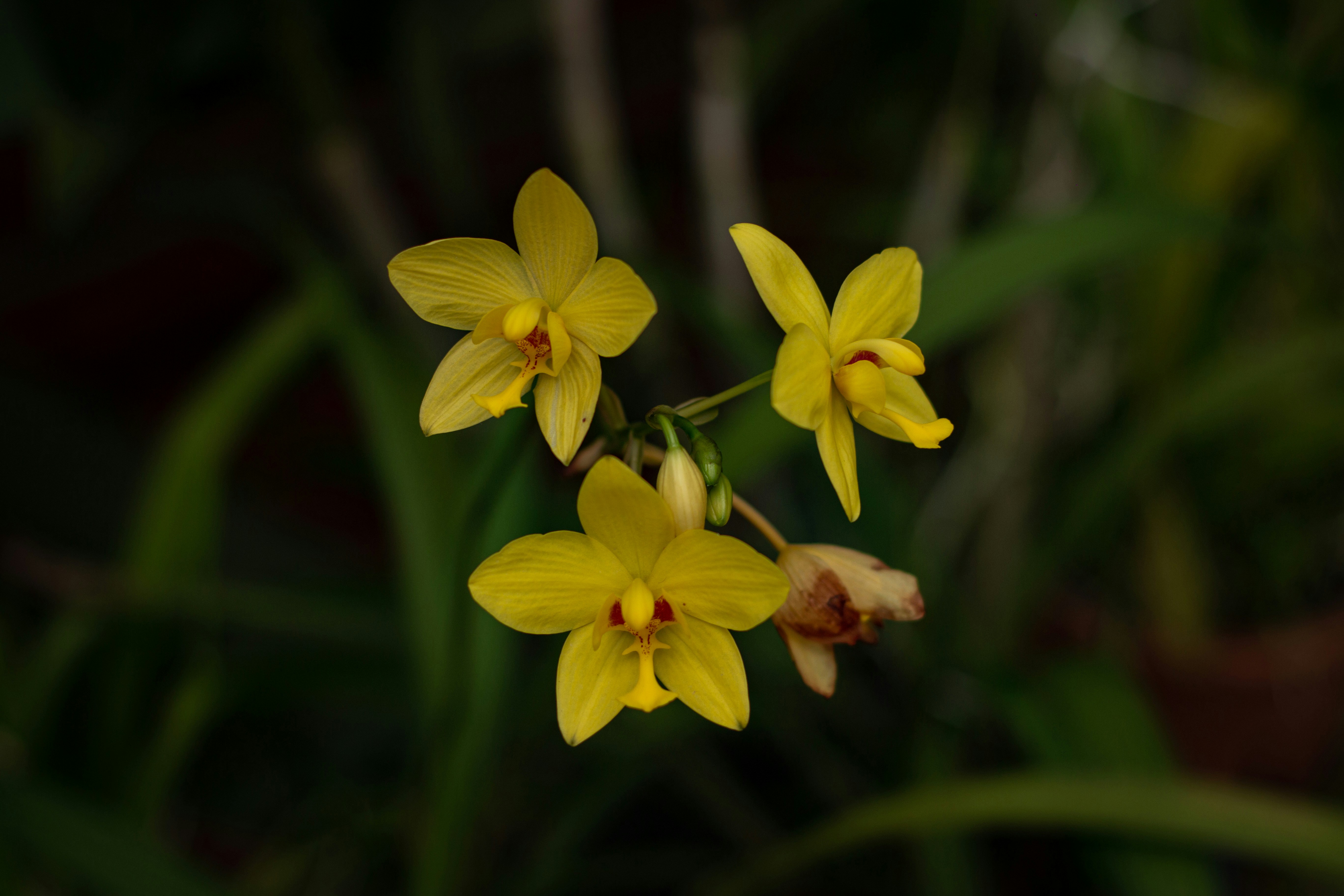 Photo by chathuraanuradha