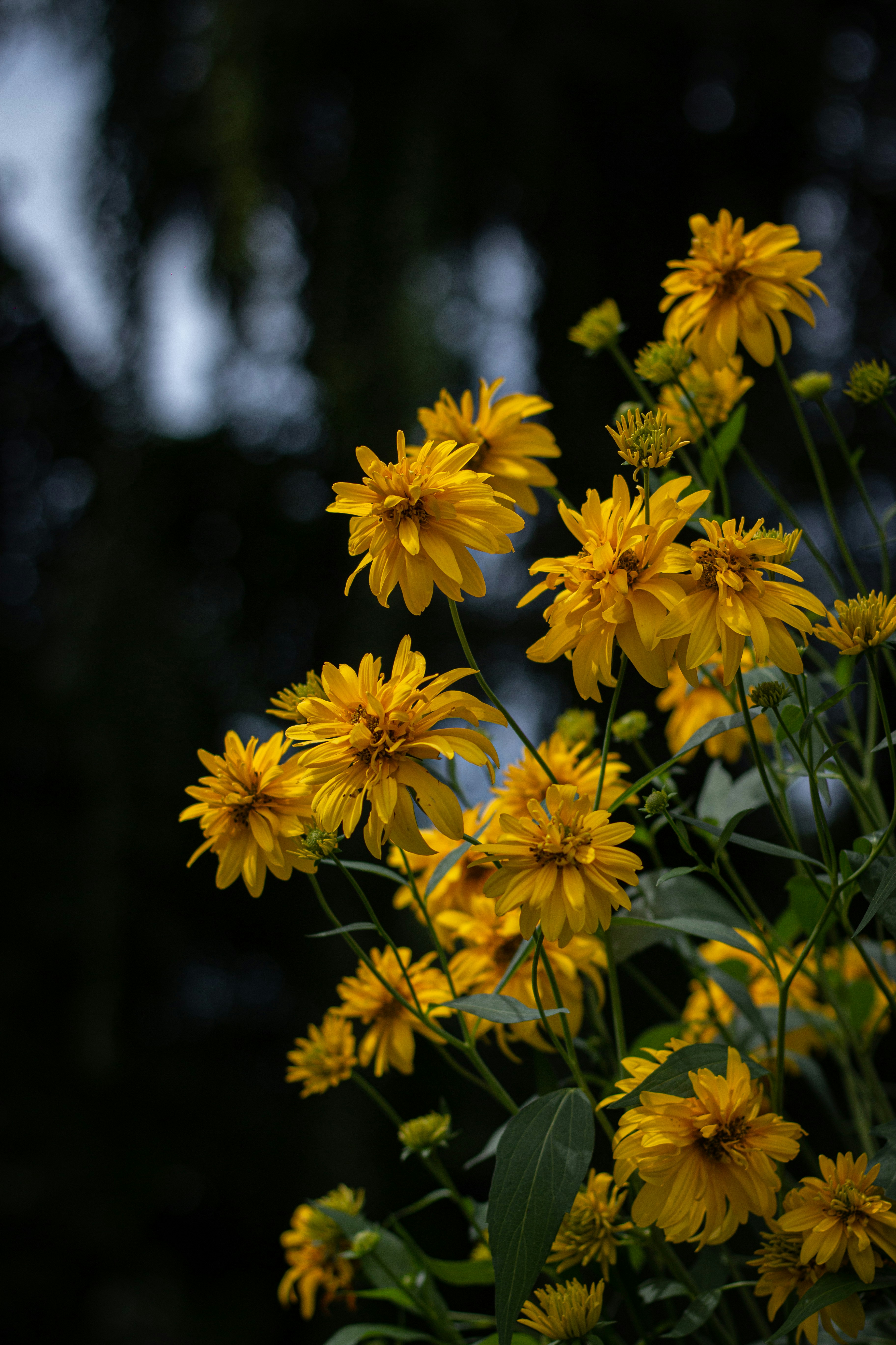 Photo by chathuraanuradha