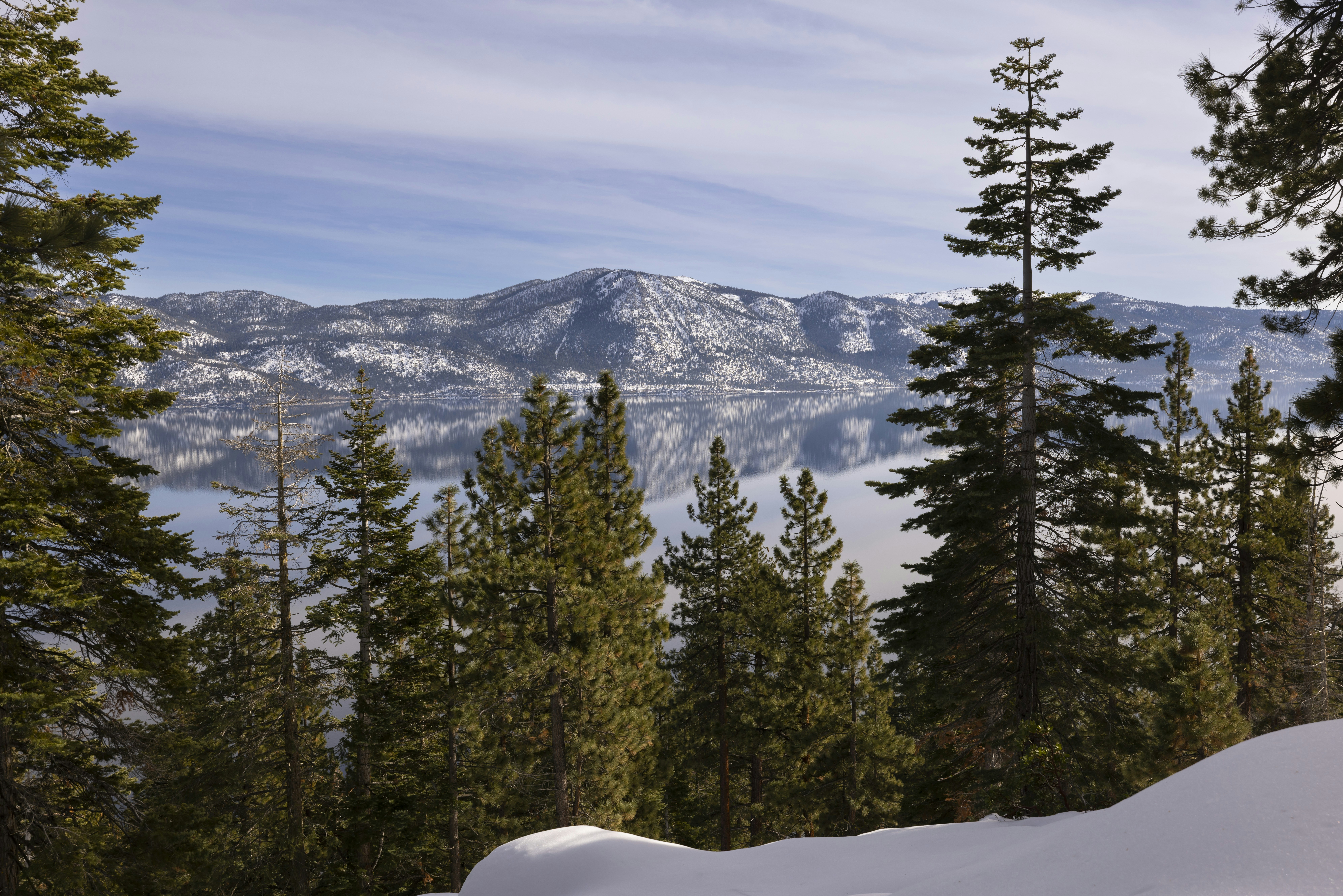 Photo by leo_visions_