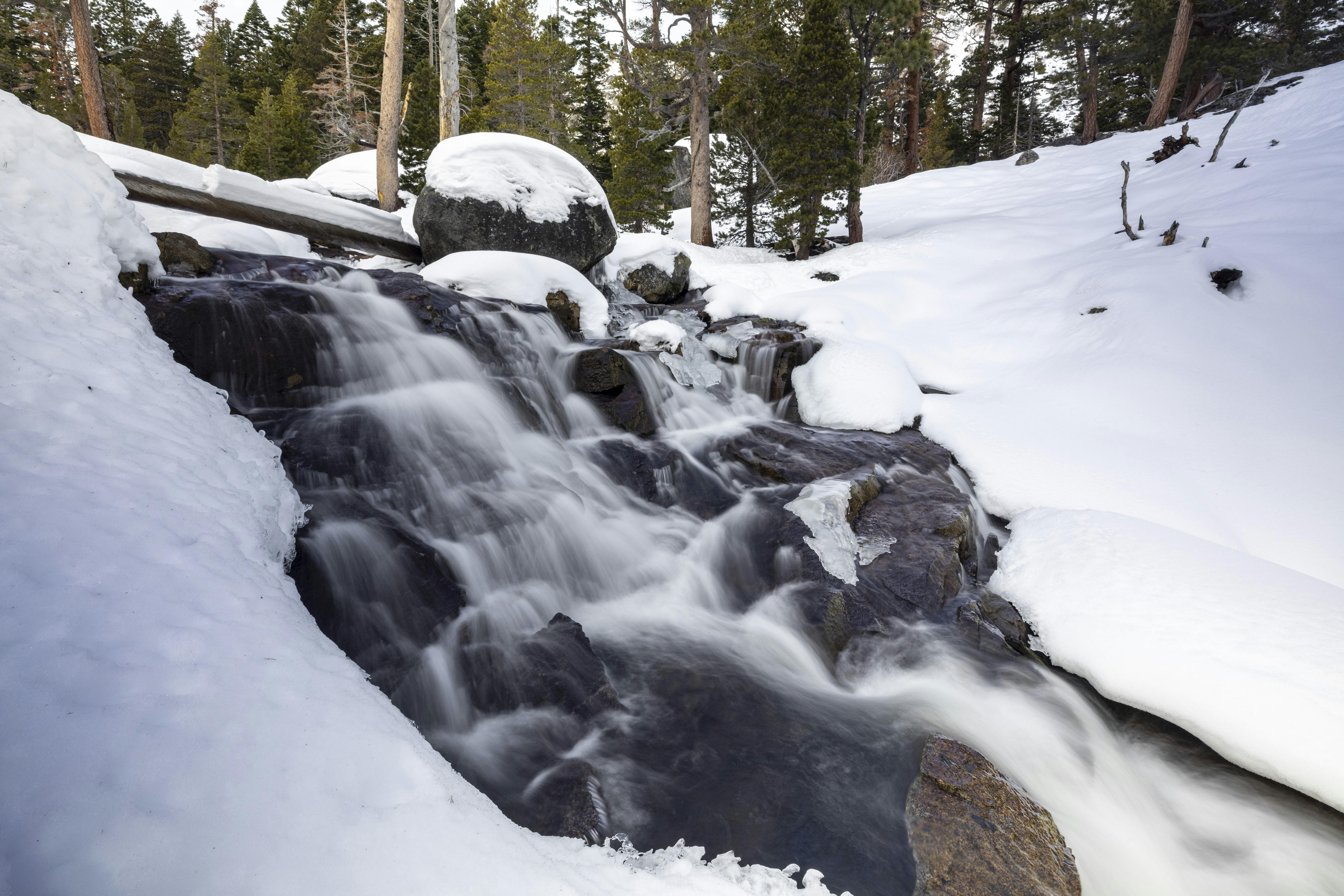 Photo by leo_visions_