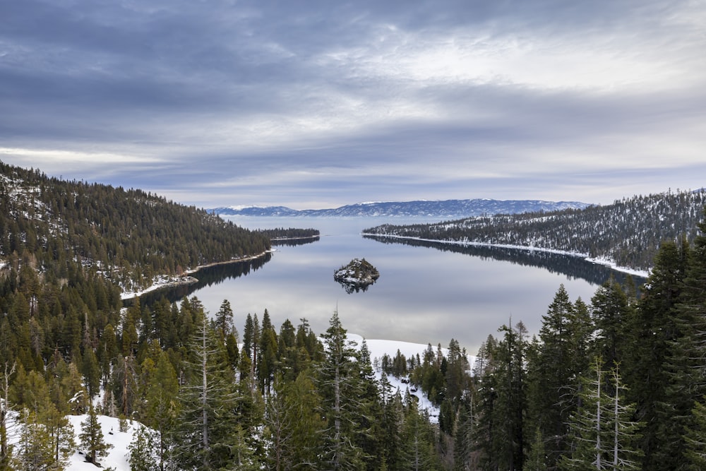 a large body of water surrounded by trees