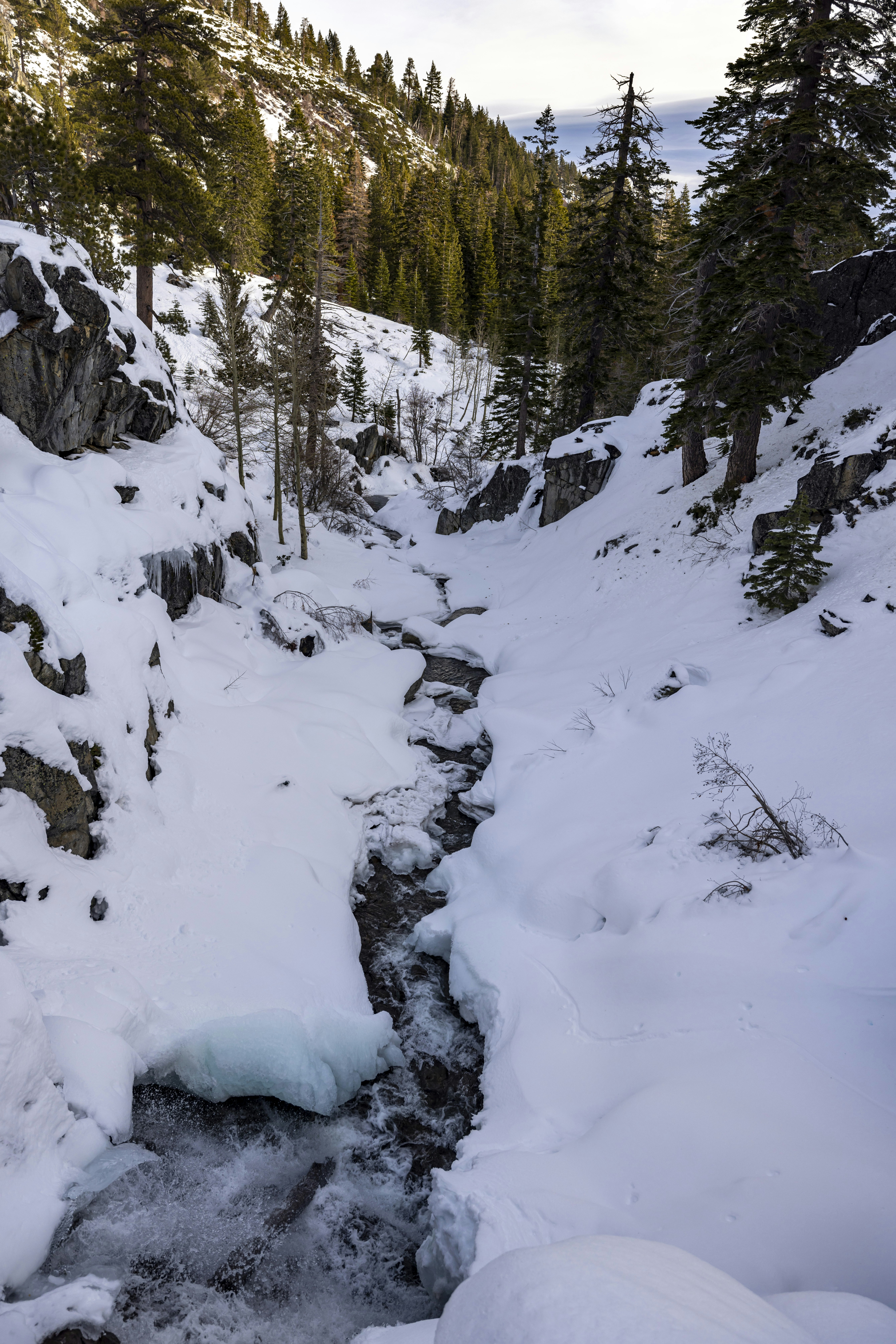 Photo by leo_visions_