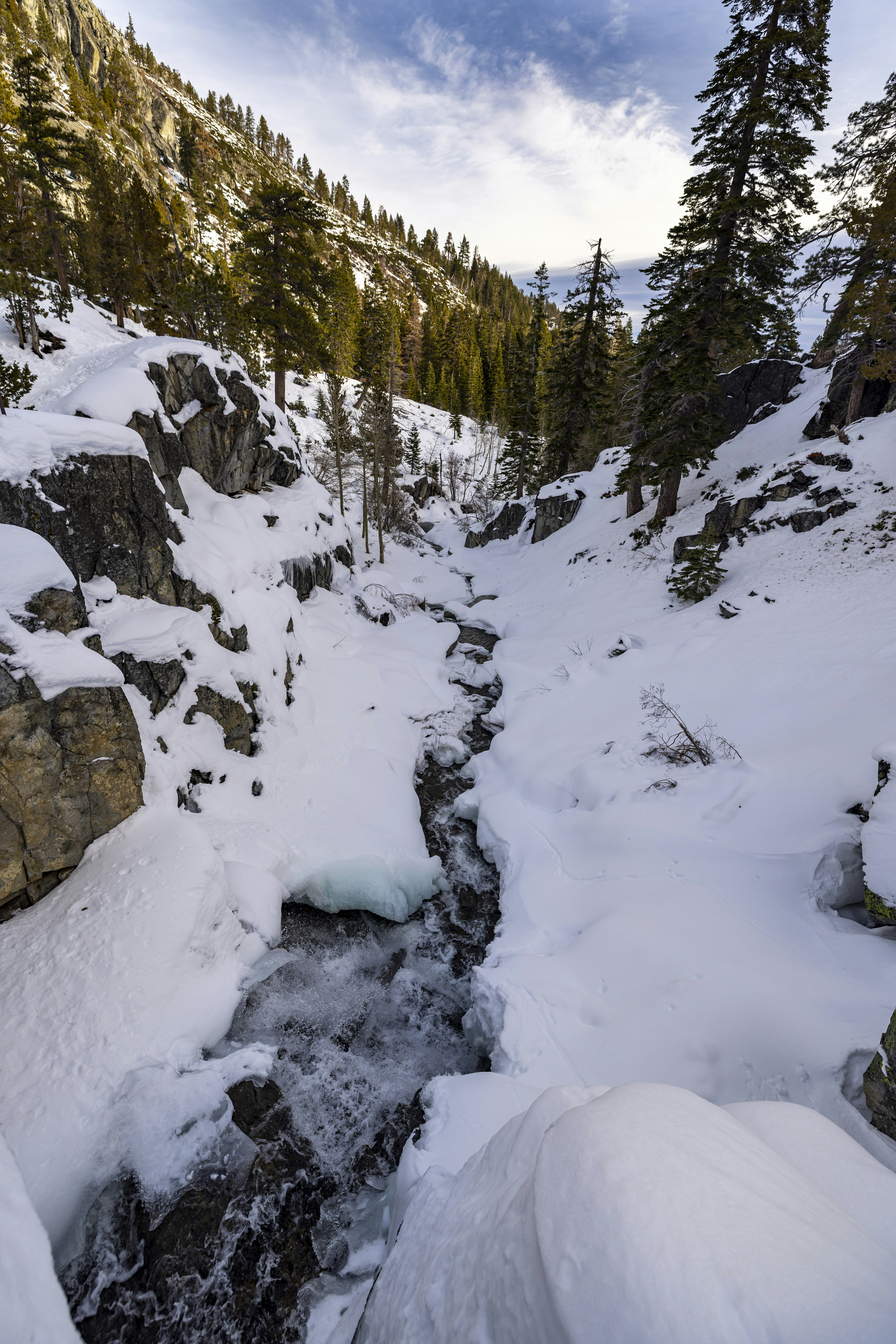 Photo by leo_visions_