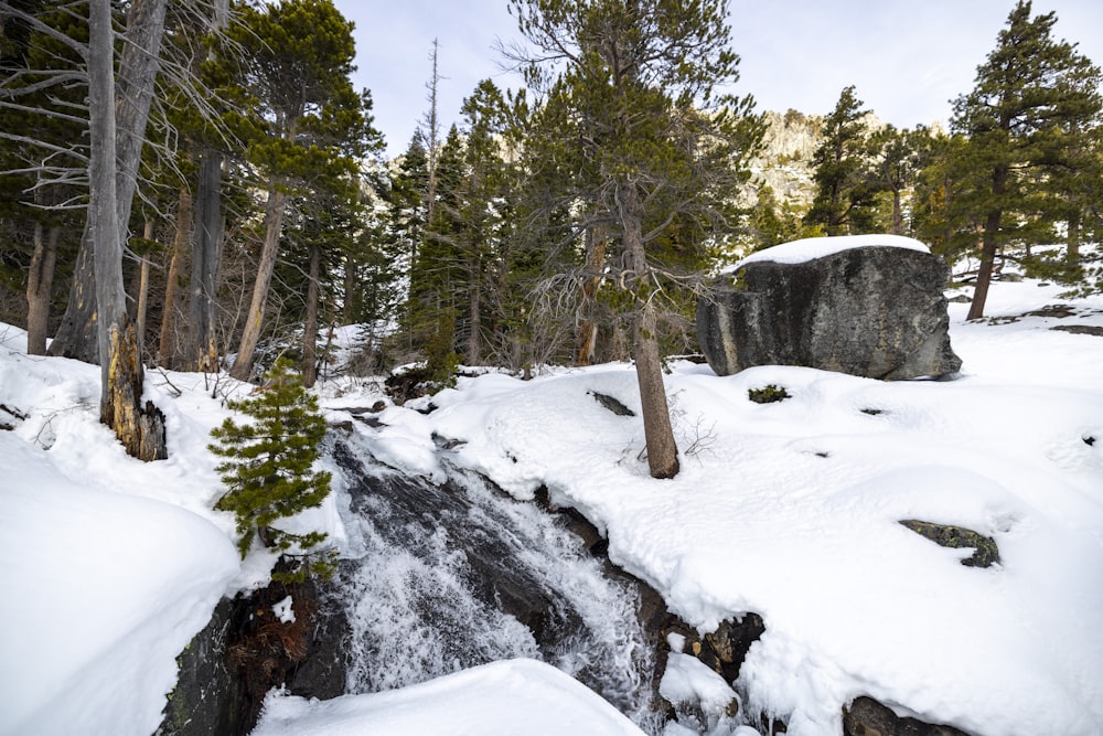 a snow covered forest with a large rock in the middle of it