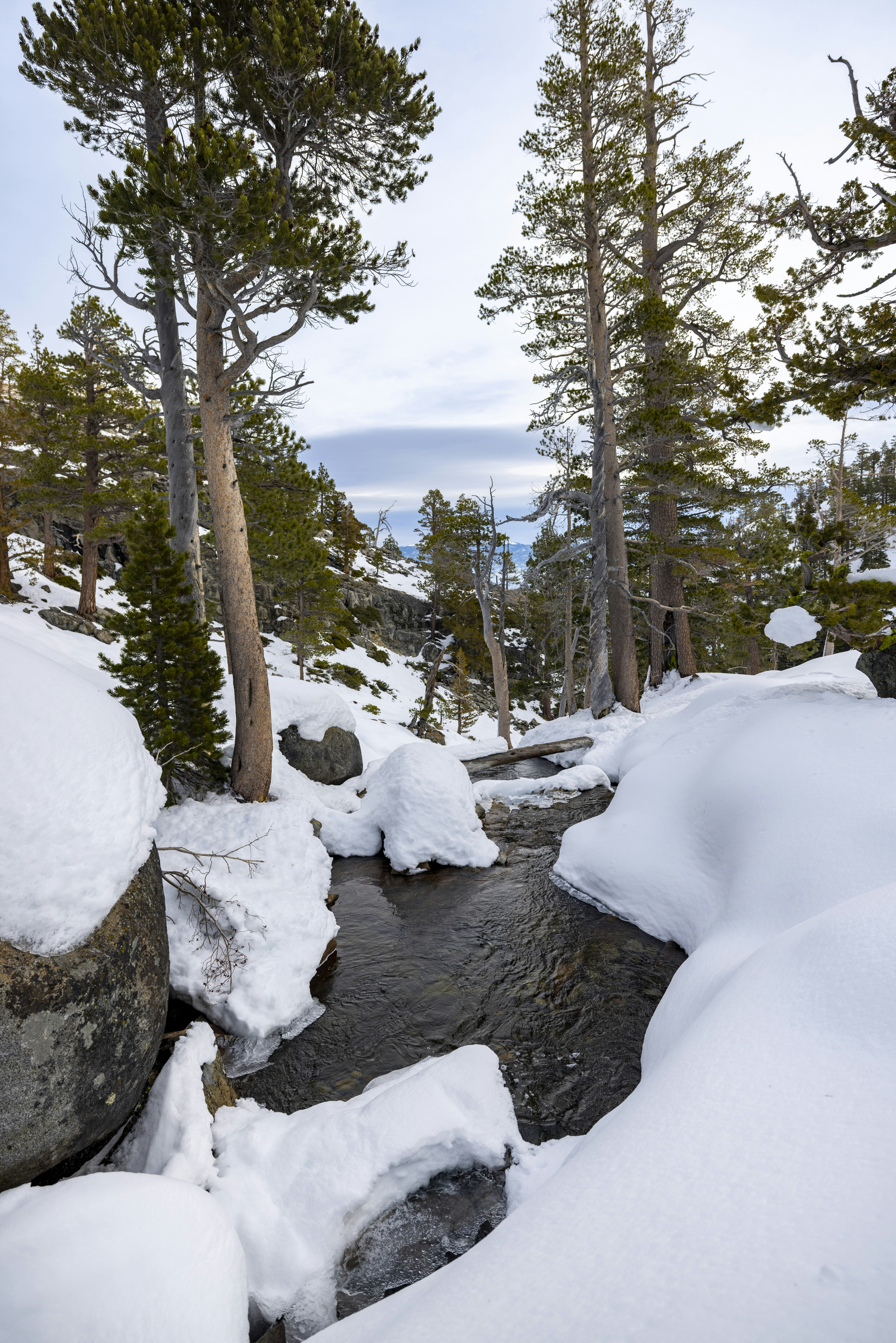 Photo by leo_visions_