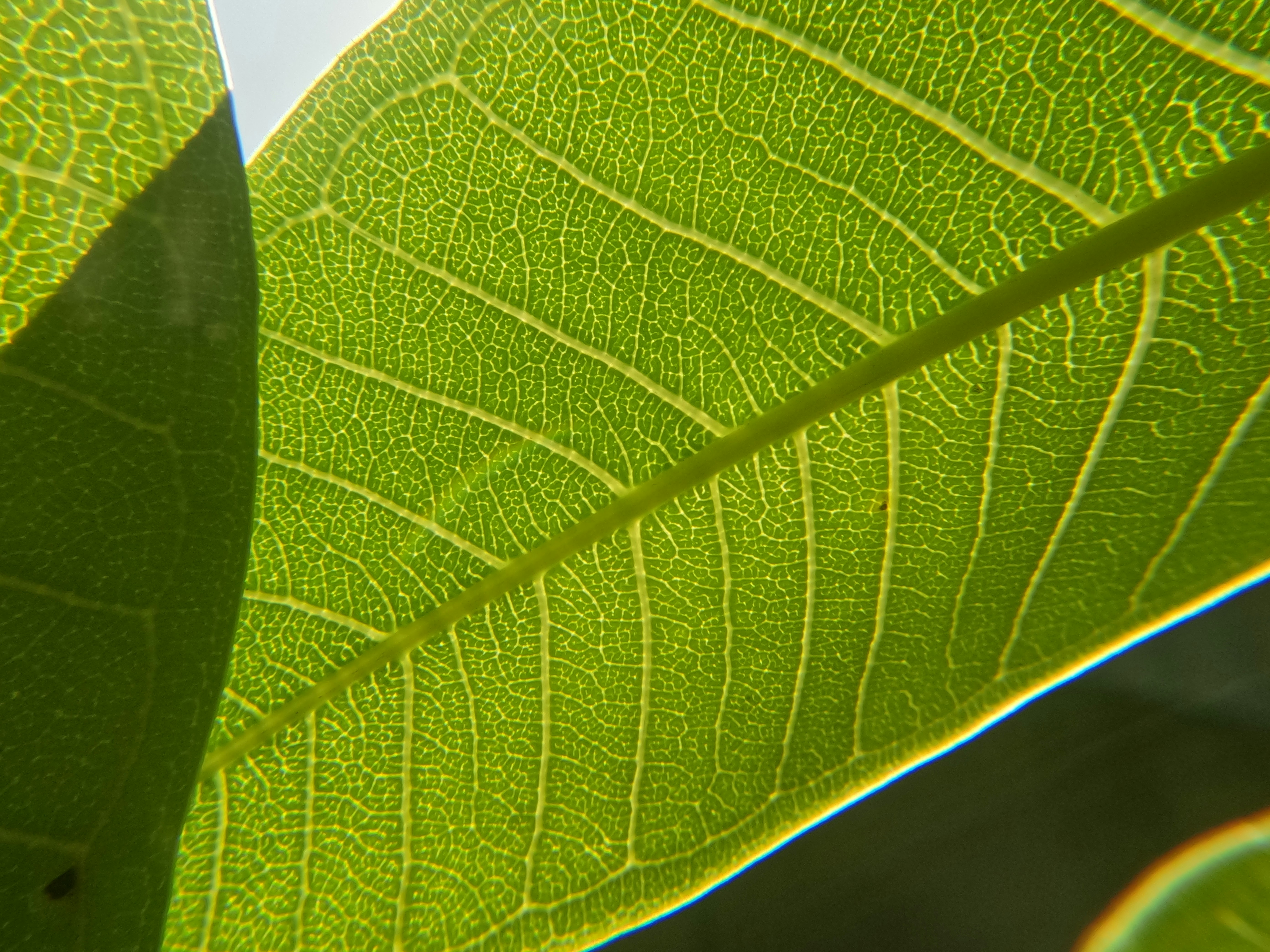 Photo by unsealmyname