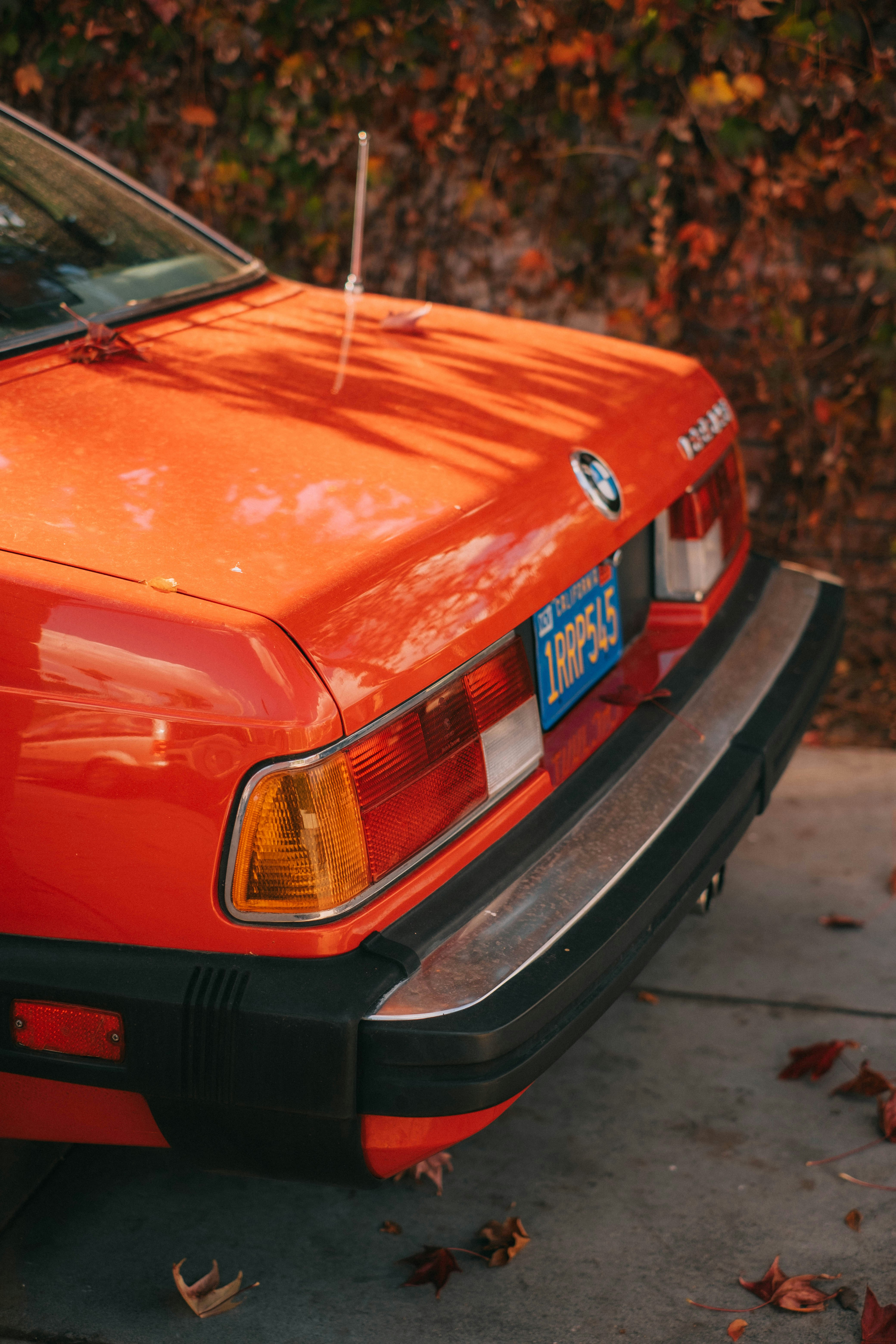 Photo by mattxfotographs