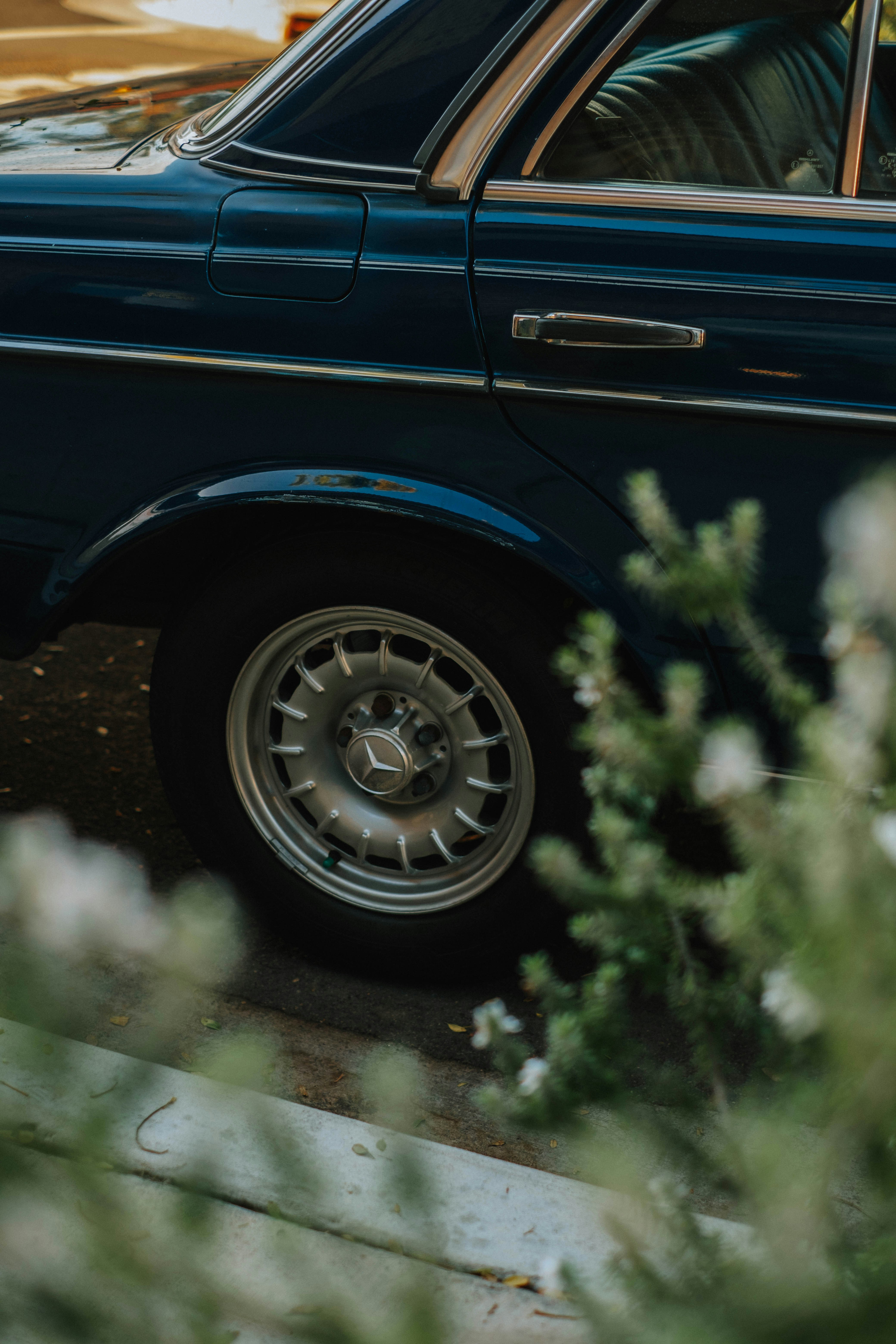 Photo by mattxfotographs