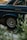 A close-up view of the rear wheel of a vintage dark blue car, partially obscured by green foliage in the foreground. The visible car parts include a shiny silver hubcap displaying a logo and a chrome door handle. The scene is set on a street with subtle hints of pavement and road markings.