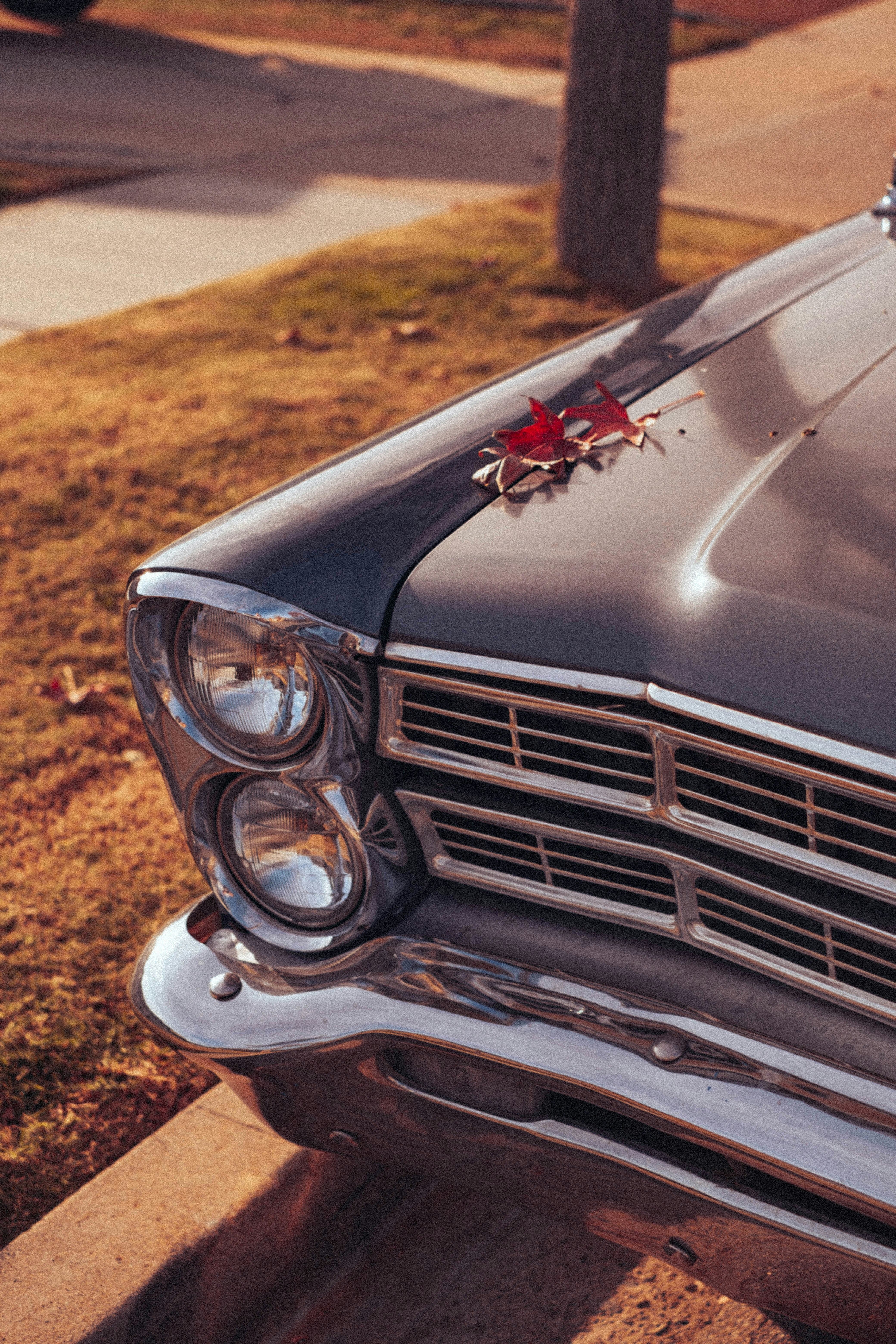 Photo by mattxfotographs