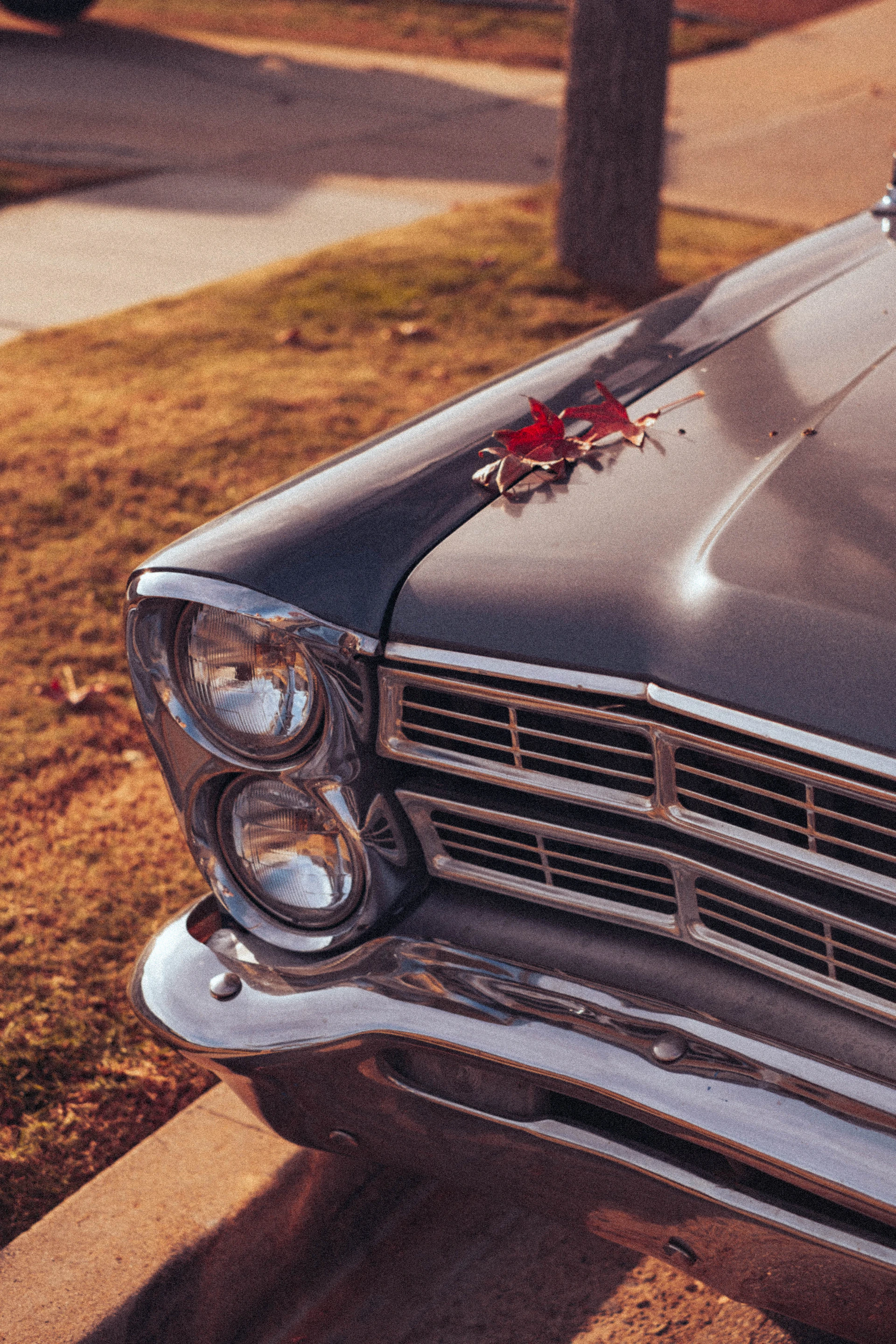 A gleaming 1948 Chevy Stylemaster Sports Coupe parked on a sunlit country road, its chrome details sparkling against a backdrop of autumn trees.