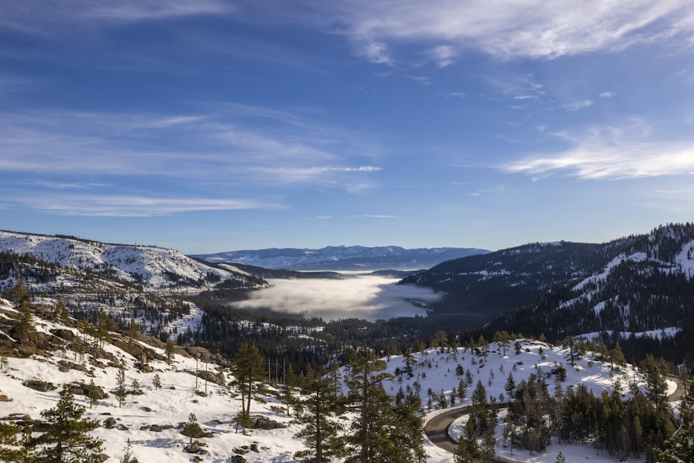 a scenic view of a snowy mountain with trees