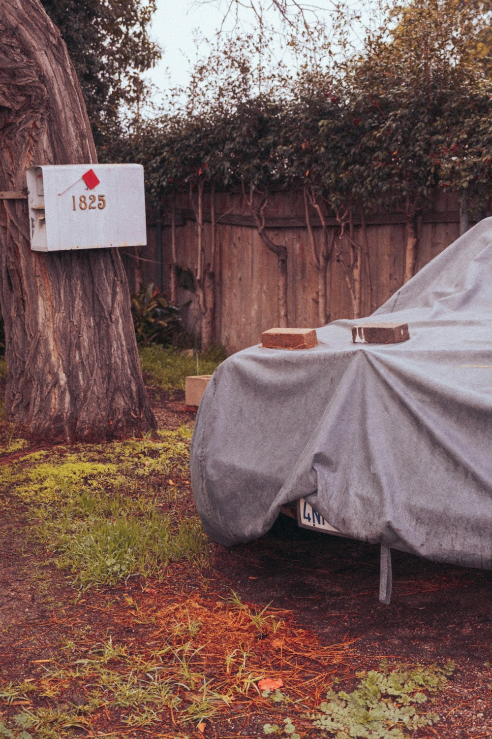 a covered car parked in a yard next to a tree