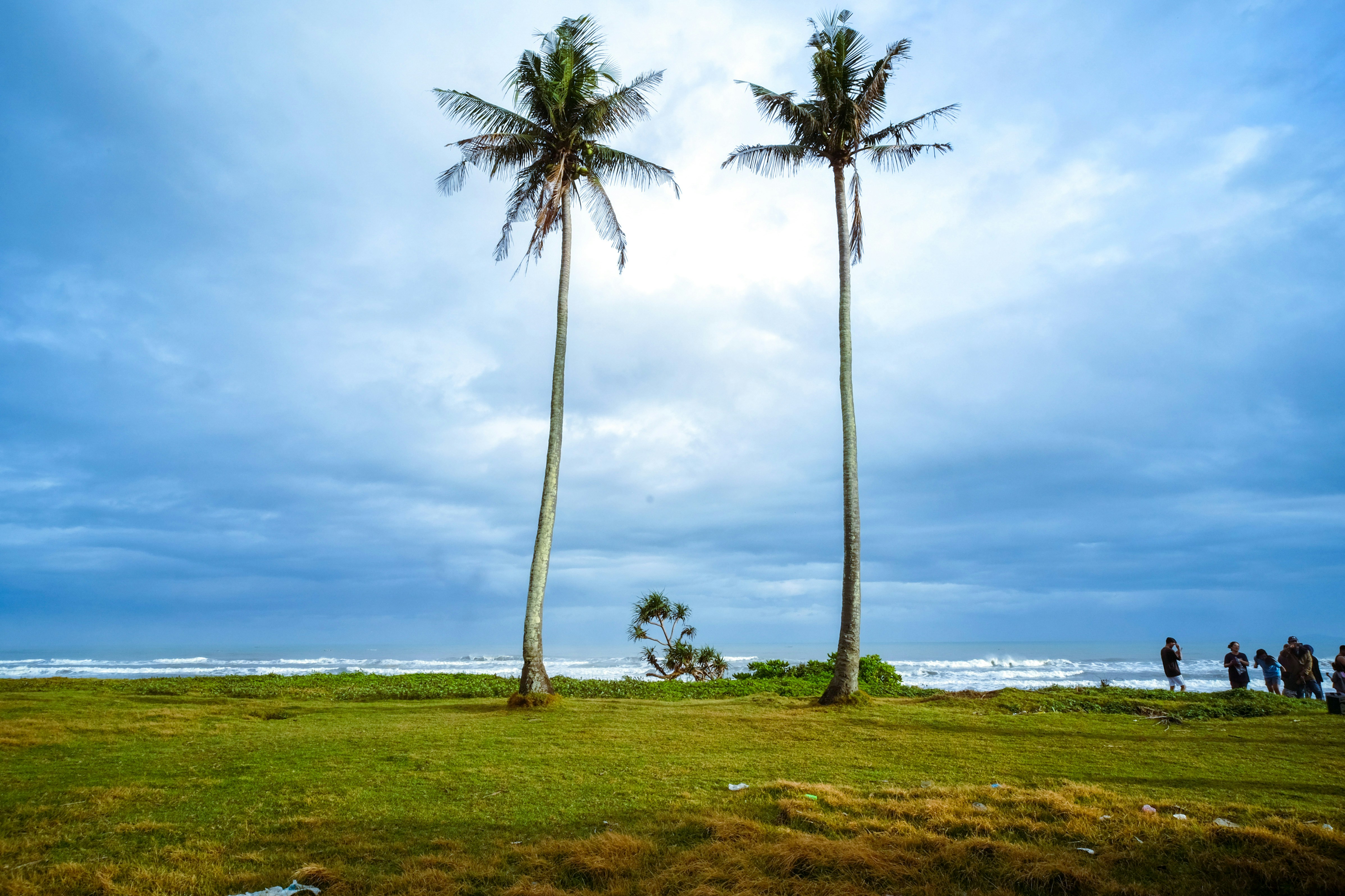 Photo by allyasuncion