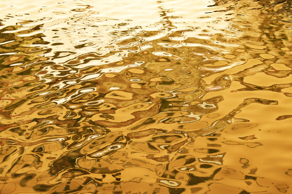 Honey-gold water and flowers