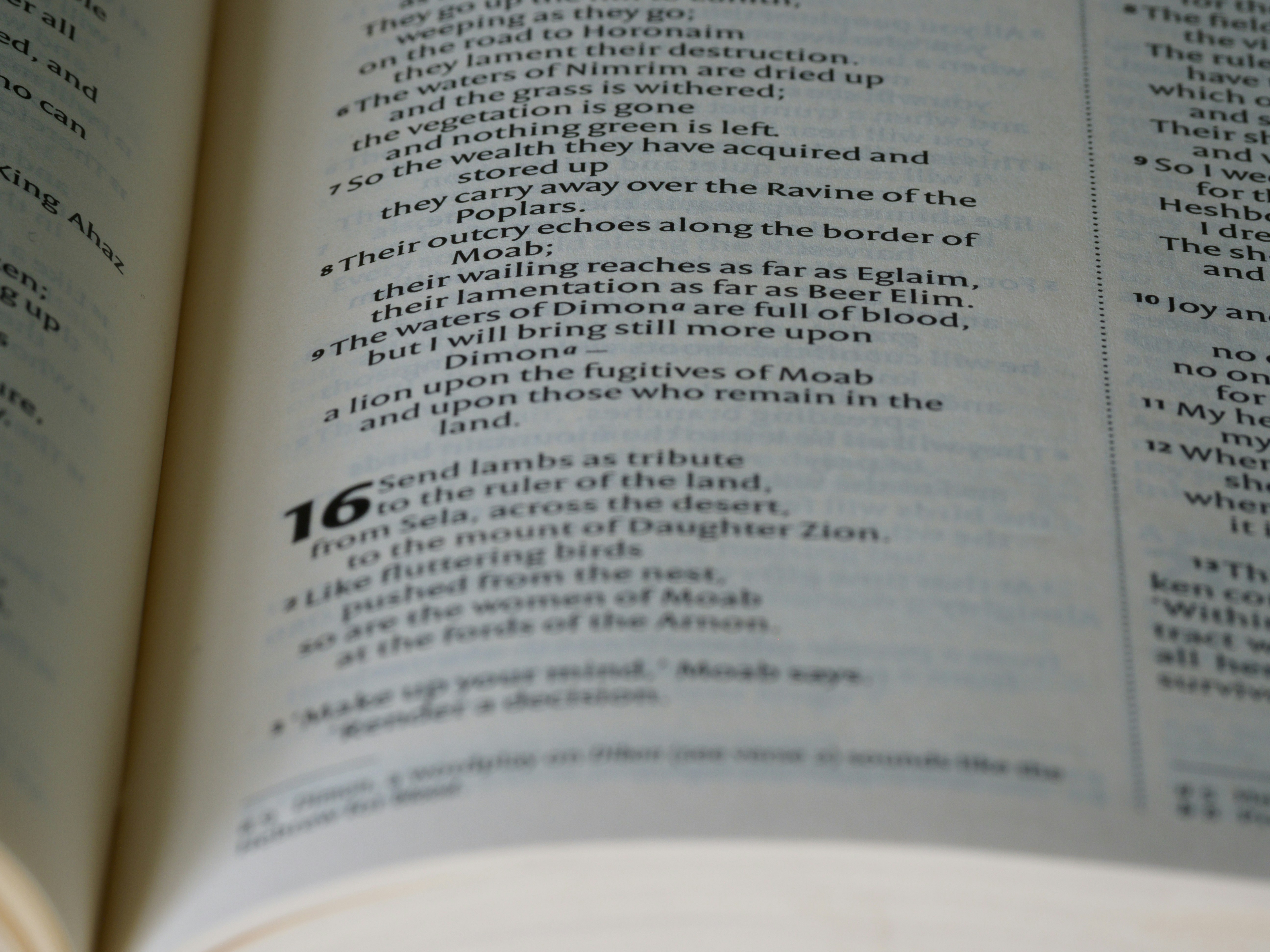 Understanding Trial Balance: A Key Component of Financial Reporting