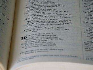 An open book with text visible on two pages. The text features numerical structure and appears to be part of a printed document or literature.