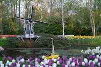 a windmill in the middle of a field of flowers