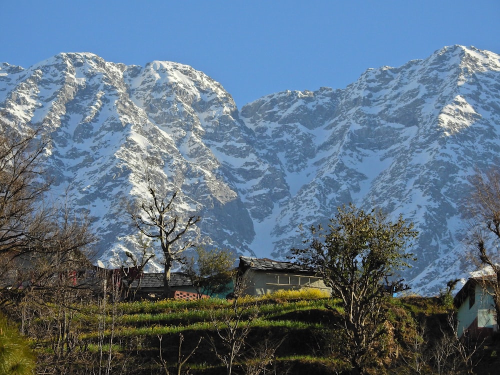 a snowy mountain range with a house in the foreground