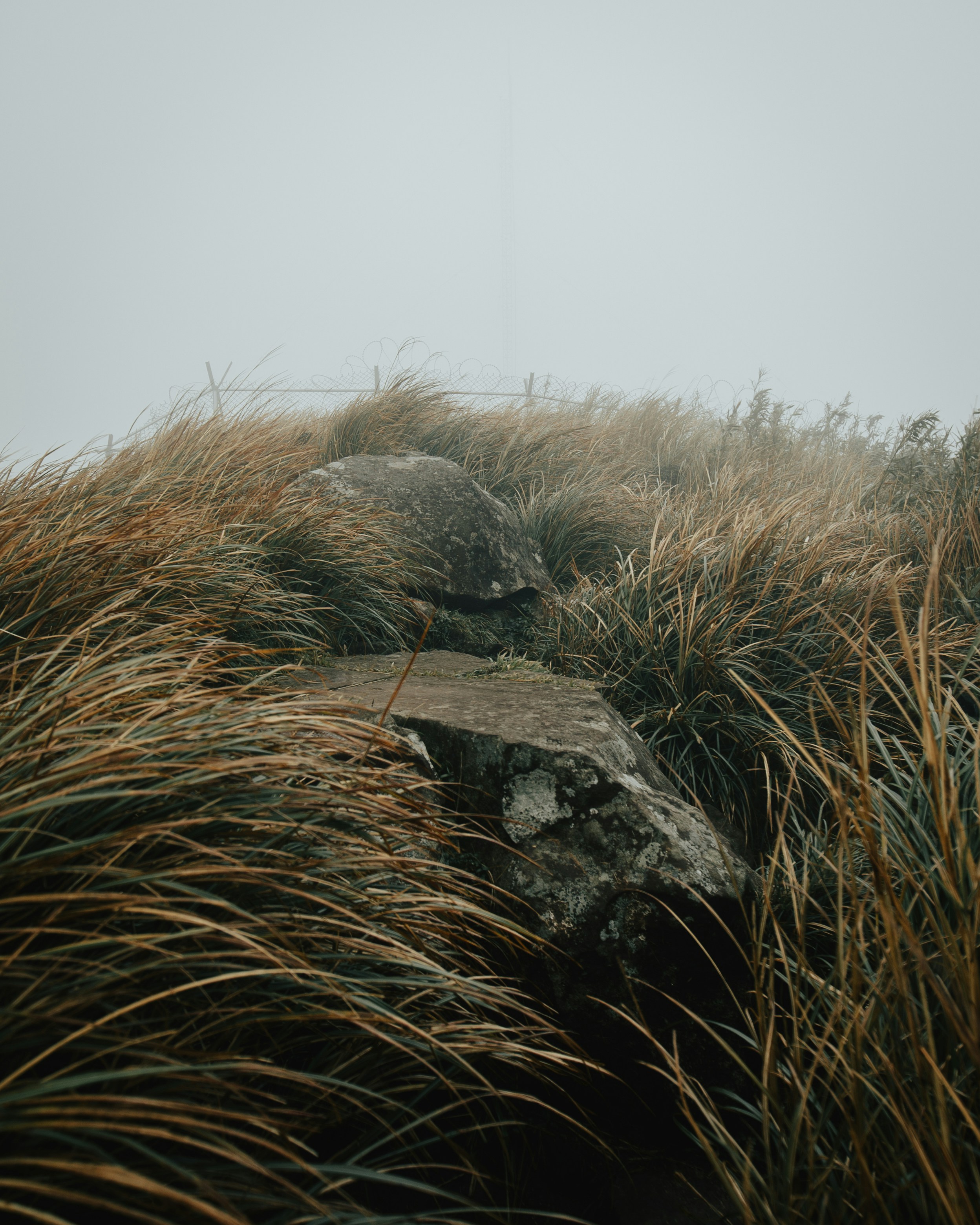 a wooden bench sitting on top of a grass covered hillside