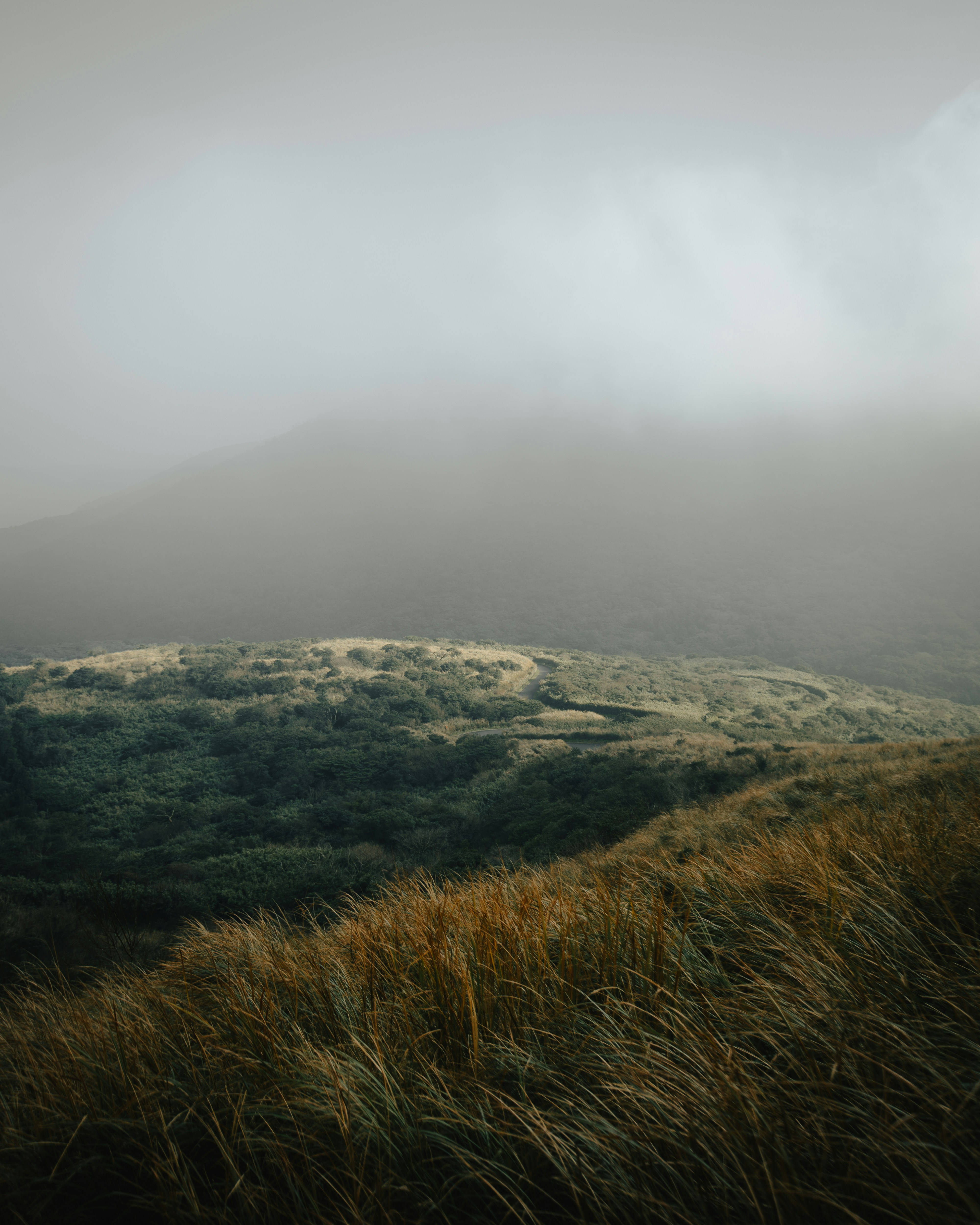 a grassy field with a hill in the background