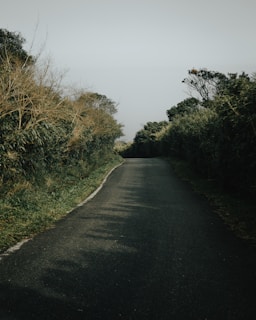 an empty road surrounded by trees and bushes