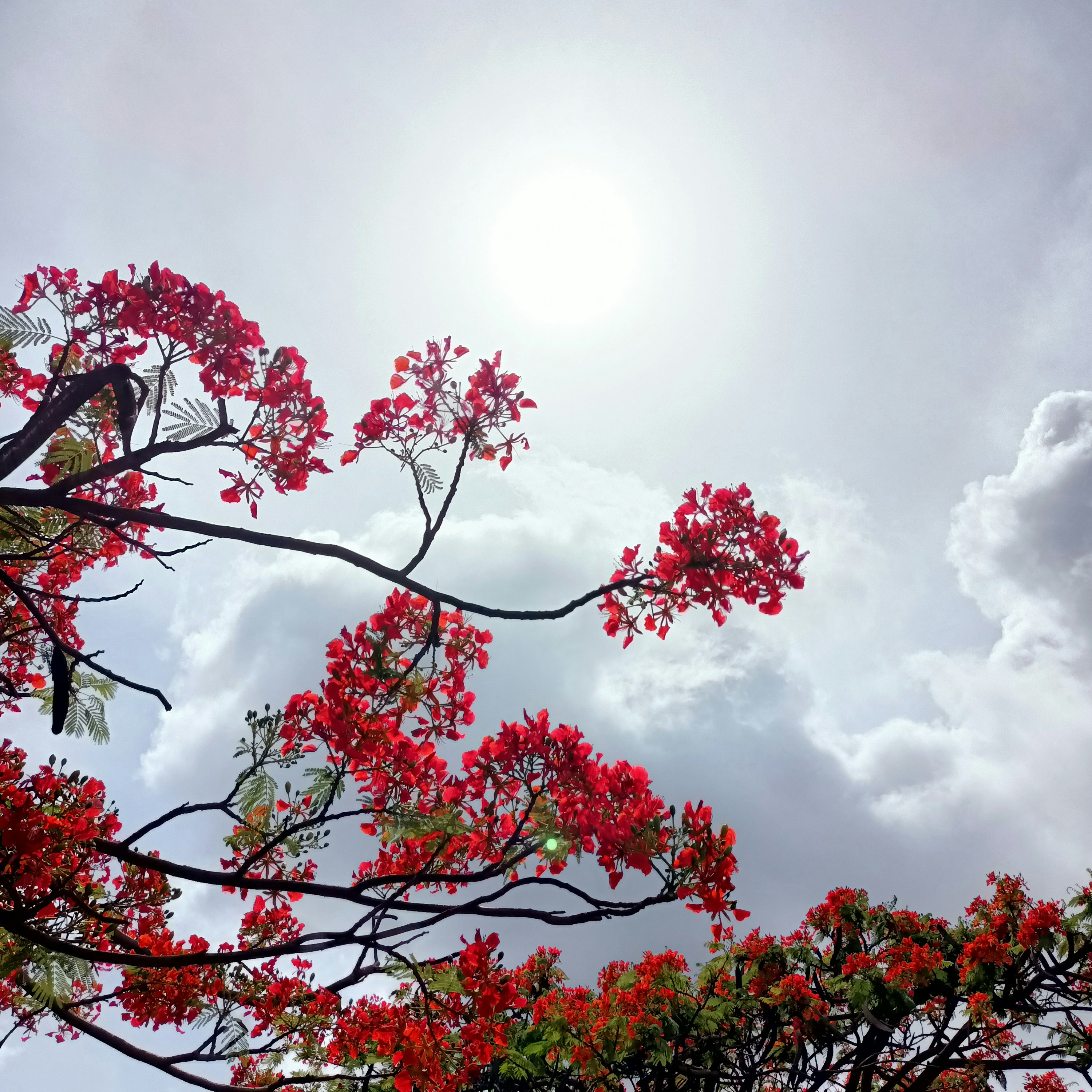 Photo by kaushikjain_1122