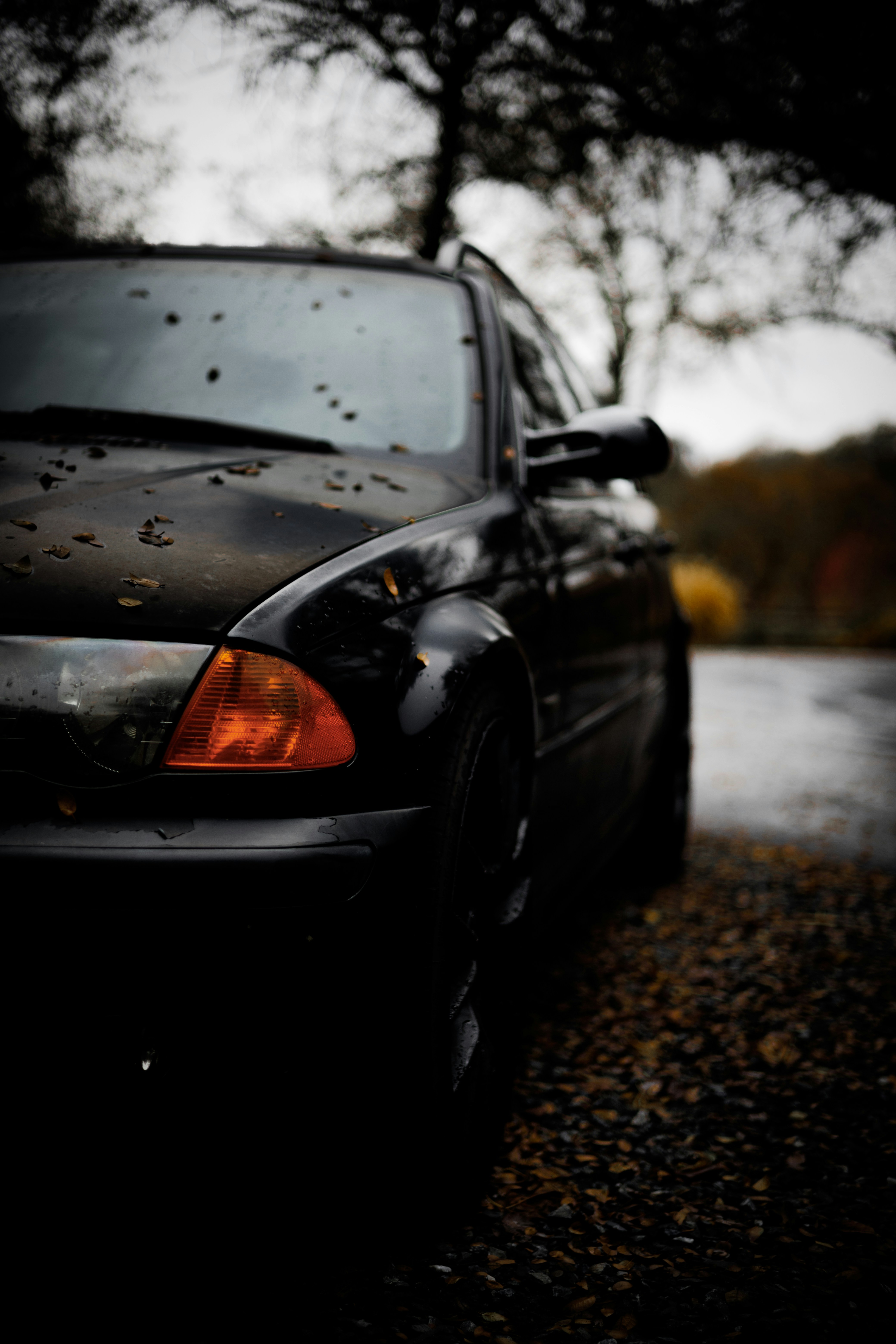 Photo by paul_stewart_photography