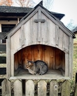 A tabby cat sits contentedly inside a small, rustic wooden shelter that resembles a tiny house or birdhouse. The wooden structure features a pointed roof and sits atop a picket fence. In the background, an old wooden building with a shingled roof is partially visible, and bare trees rise against a pale sky.