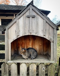 Welcome to Cozy Pets Homes: Where Every Animal Finds Comfort