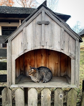 A tabby cat sits contentedly inside a small, rustic wooden shelter that resembles a tiny house or birdhouse. The wooden structure features a pointed roof and sits atop a picket fence. In the background, an old wooden building with a shingled roof is partially visible, and bare trees rise against a pale sky.