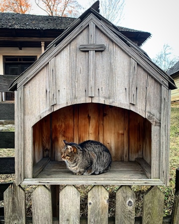 Welcome to Happy Cat Hotel: Your Cat’s Home Away from Home