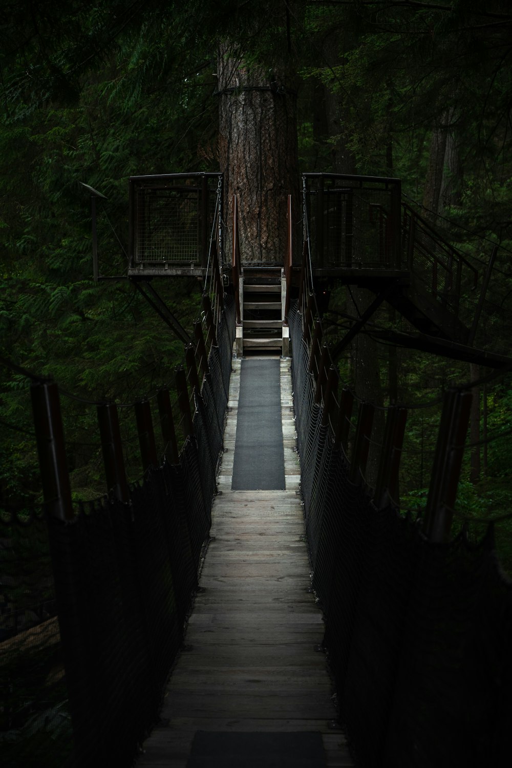 a stairway leading to a tree house in the woods