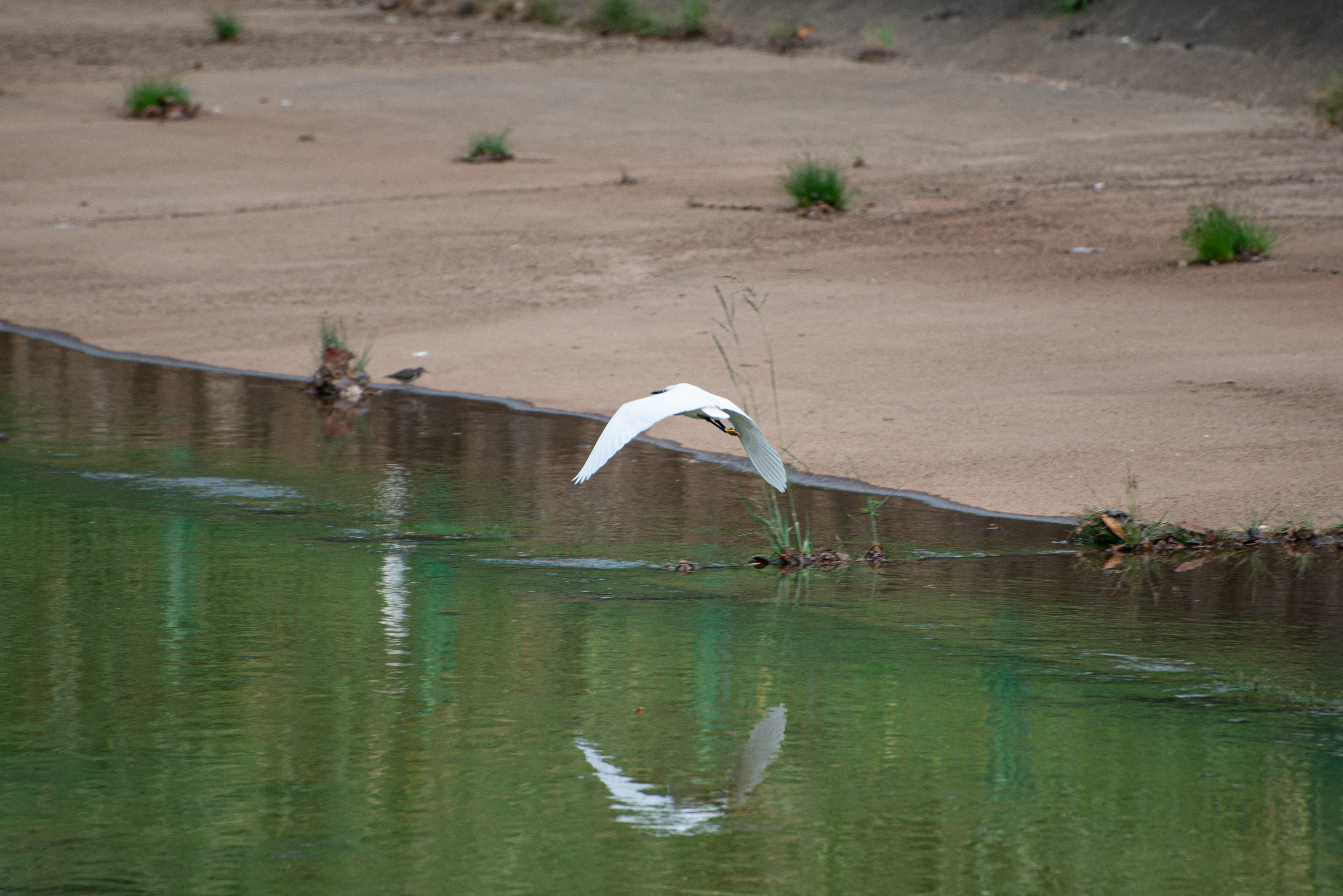 Photo by smithclukas