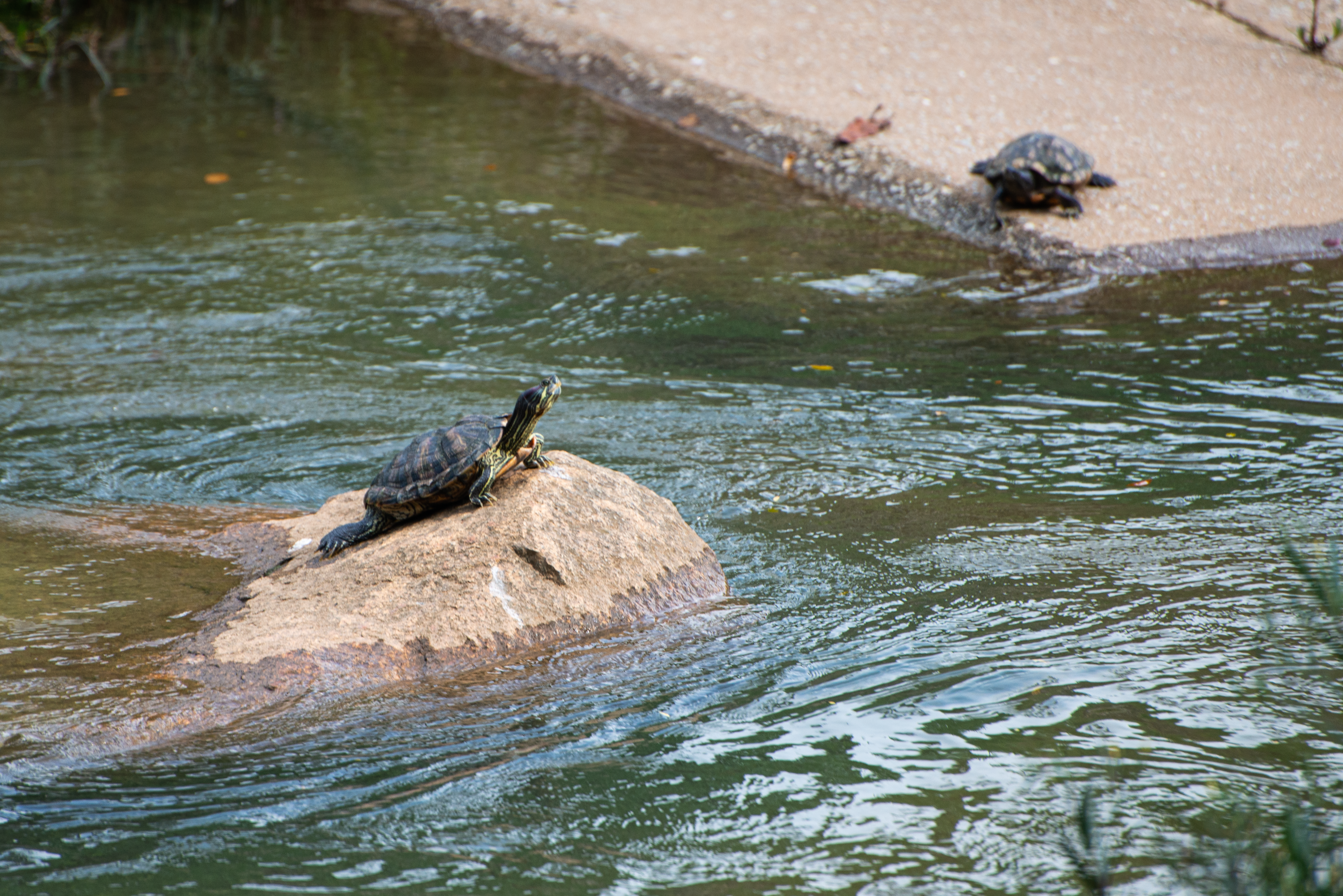 Photo by smithclukas