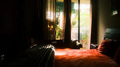 Cozy sunlit room with warm yellow walls and dark brown accents, showing a comfortable bed with eucalyptus-themed decor.