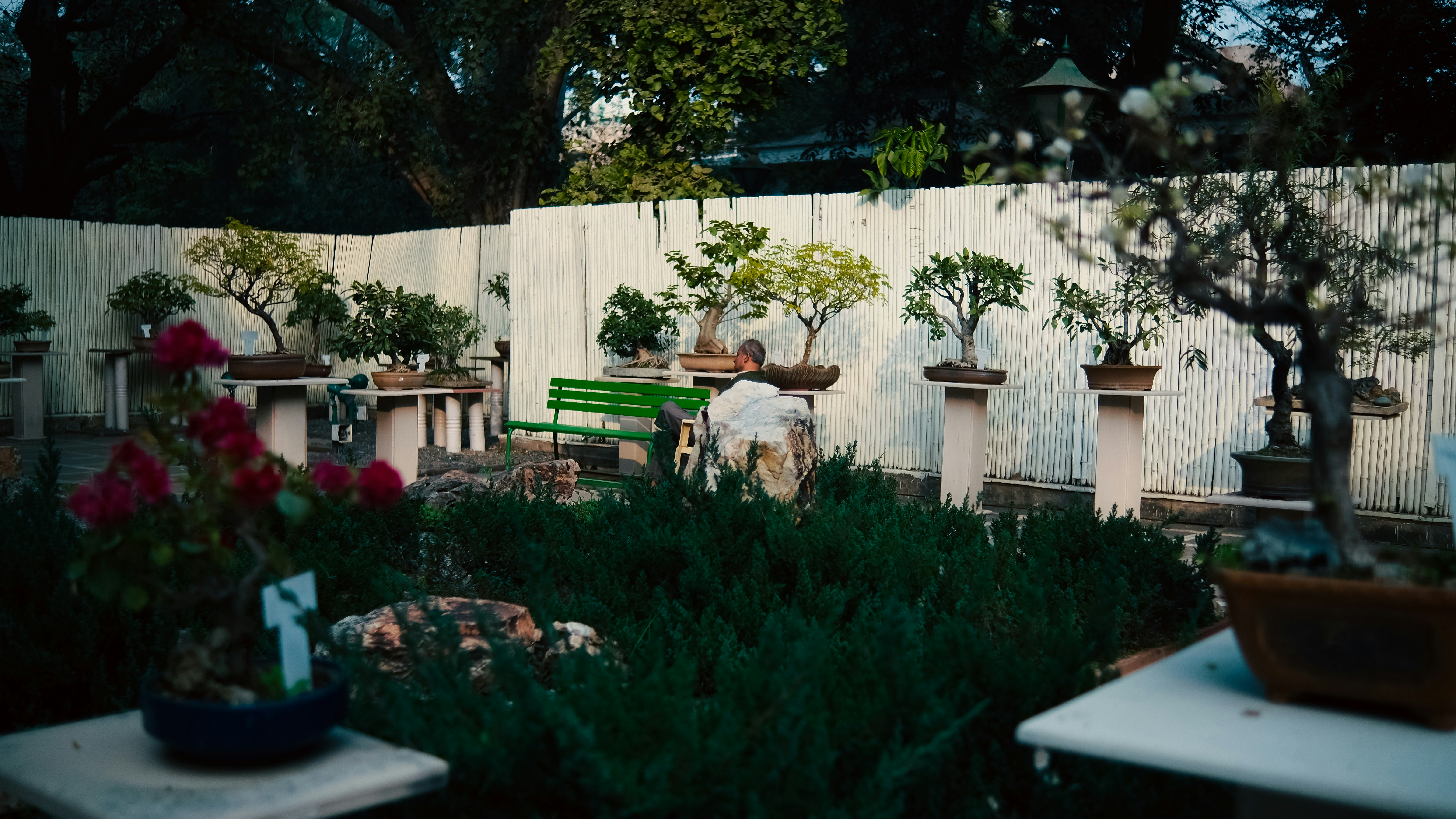 A man sitting on a bench in a garden photo – Free Plant Image on Unsplash