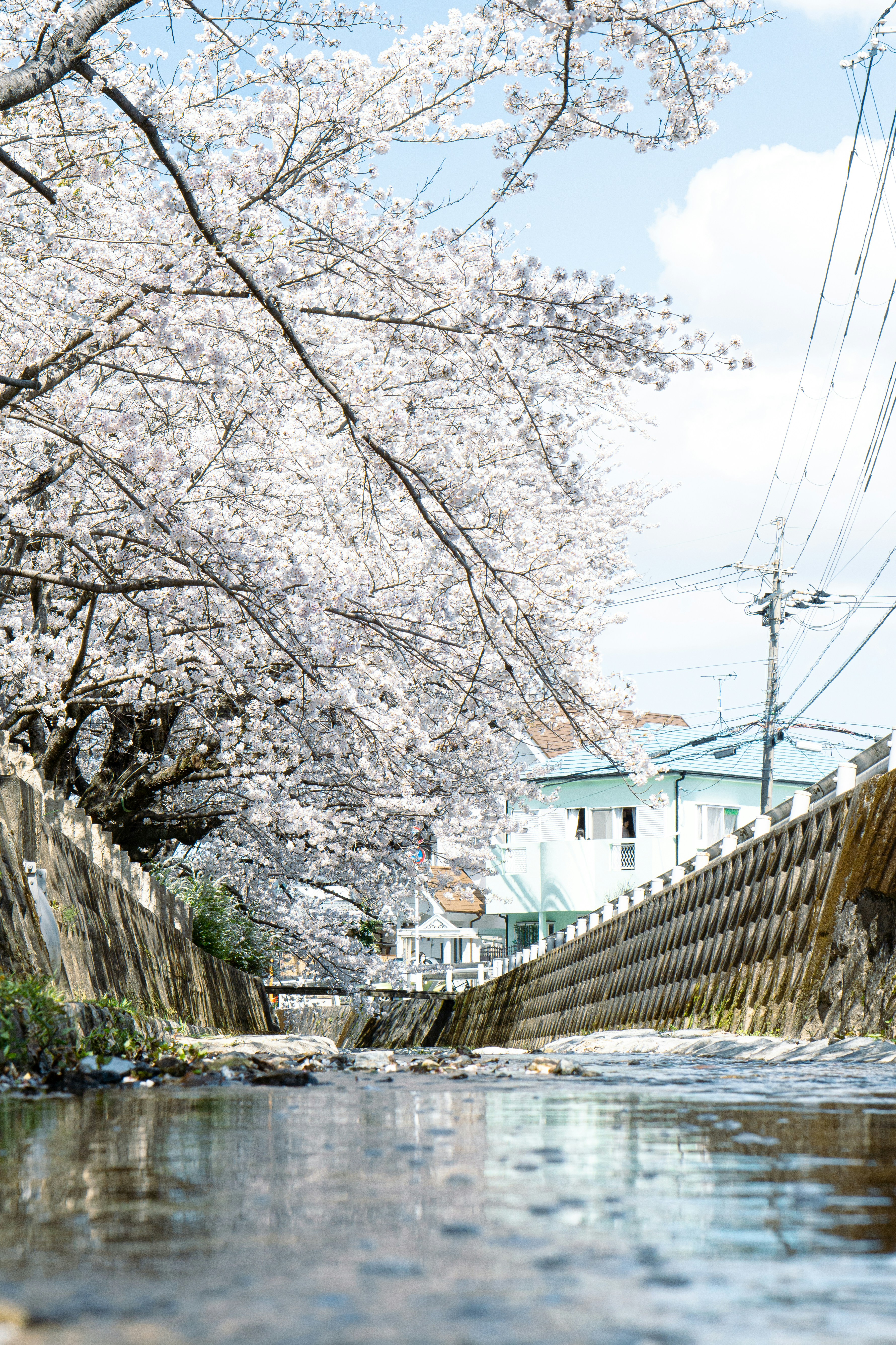 Photo by dianainjapan