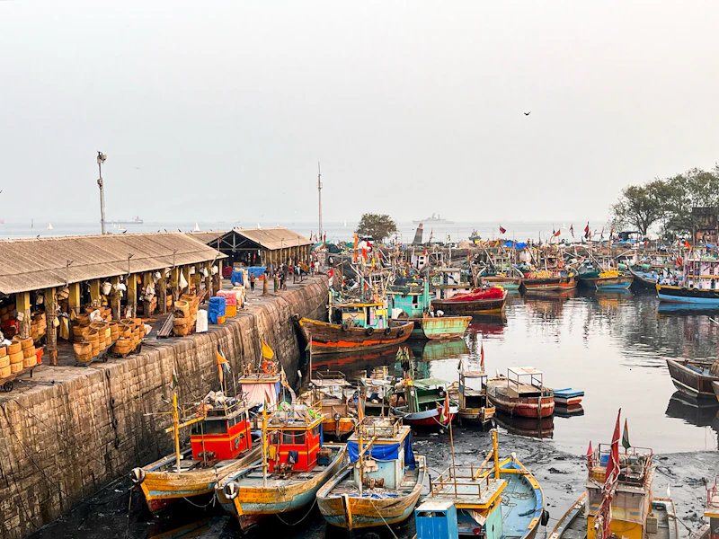 Mumbai Cruise