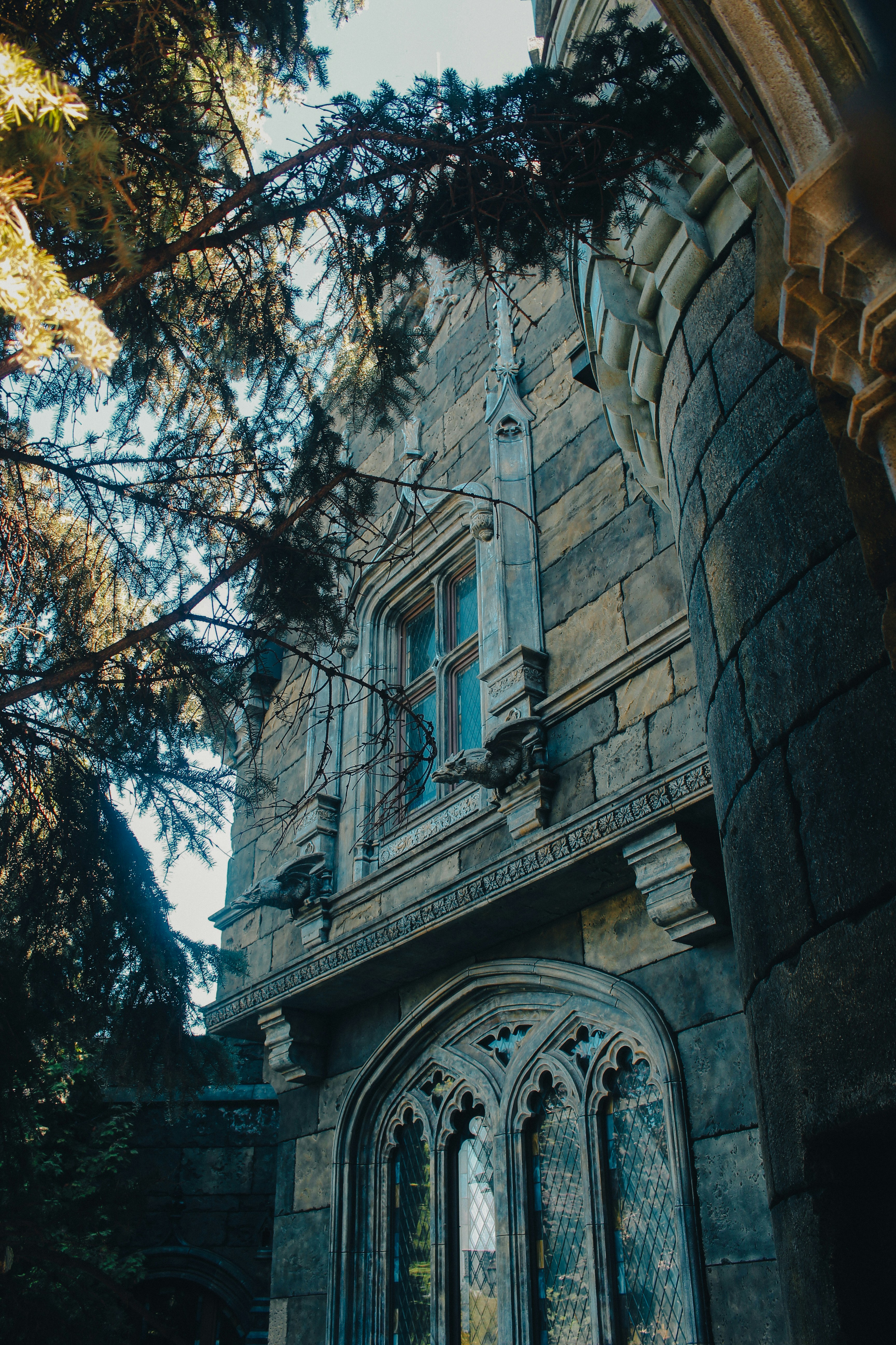 Photo by west_wildfire