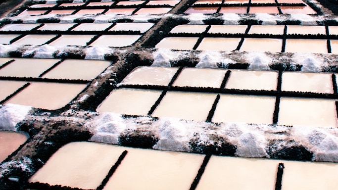 Multiple rectangular salt pans arranged in a grid pattern with dark embankments. The surfaces of the pans have varying shades of brown and beige with salt deposits accumulated at the edges.