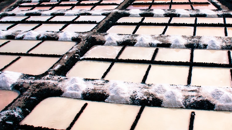 Multiple rectangular salt pans arranged in a grid pattern with dark embankments. The surfaces of the pans have varying shades of brown and beige with salt deposits accumulated at the edges.