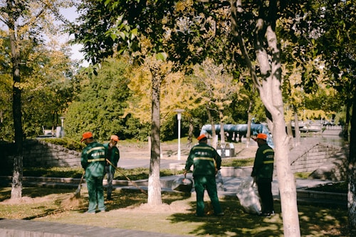Several people wearing green uniforms and orange hats are cleaning a park area. They appear to be using brooms and bags to gather fallen leaves. The park is lush with trees and greenery, and the sunlight casts dappled shadows on the ground.